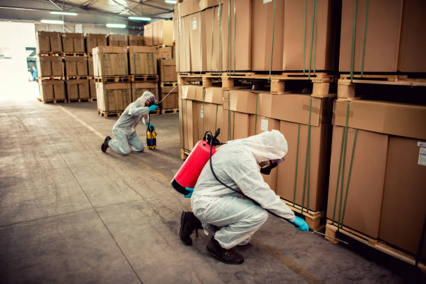 Best Termite Control Services  in Fillmore, UT