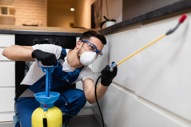 Best Flea Control Services  in Fillmore, UT