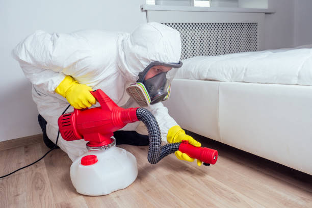 Best Pest Inspection Near Me  in Fillmore, UT