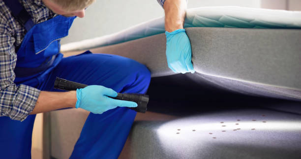 Best Pest Prevention Services  in Fillmore, UT