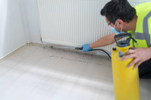 Best Wasp Removal Services  in Fillmore, UT