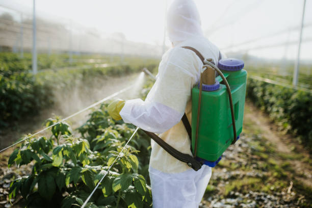 Best Emergency Pest Control  in Fillmore, UT